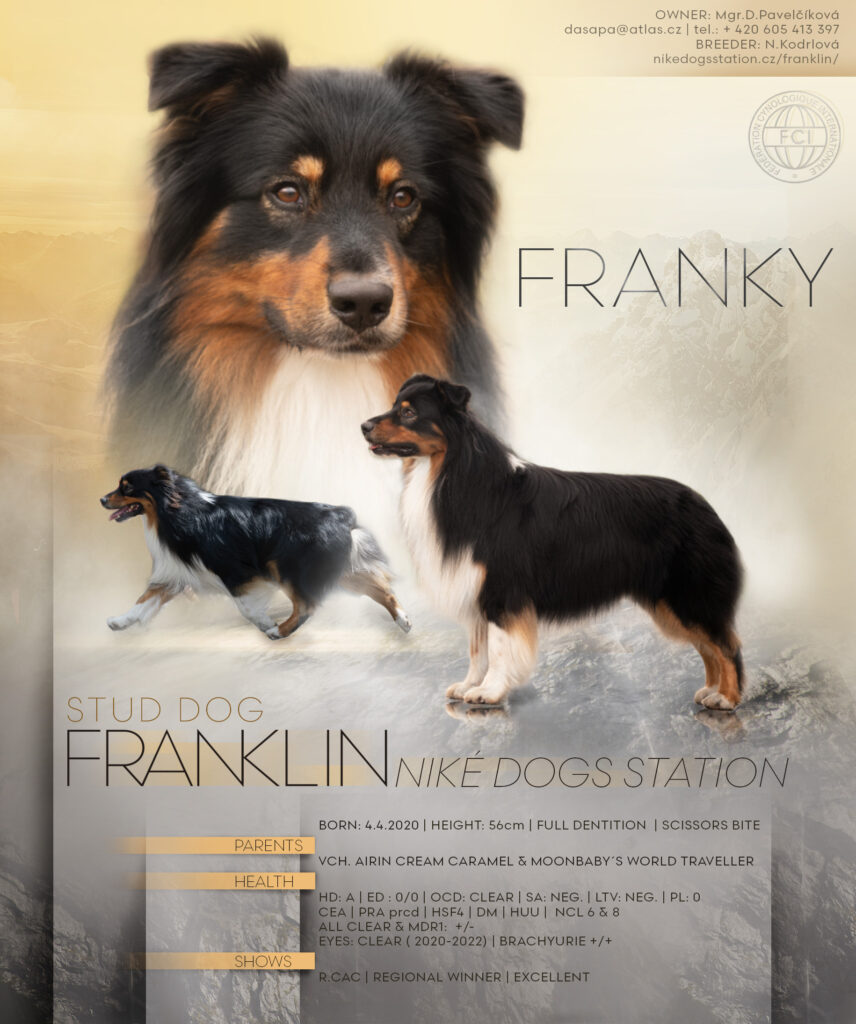 fRANKLIN nIKÉ dOGS STATION